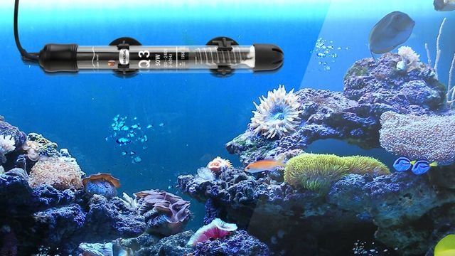 Submersible Aquarium Heater