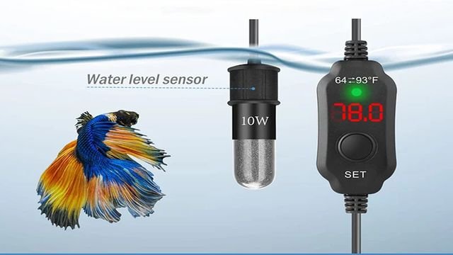 Setting Up Thermostats in Aquarium Heaters