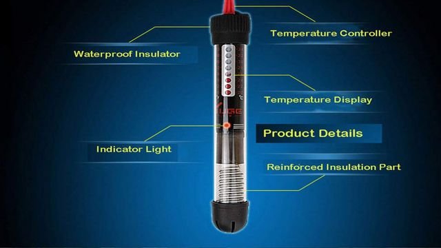 The Role of Thermostats in Aquarium Heaters