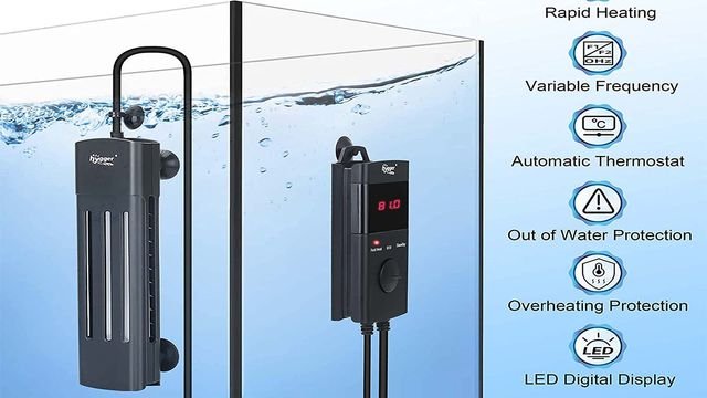 Thermostat Accuracy in Aquarium Heaters