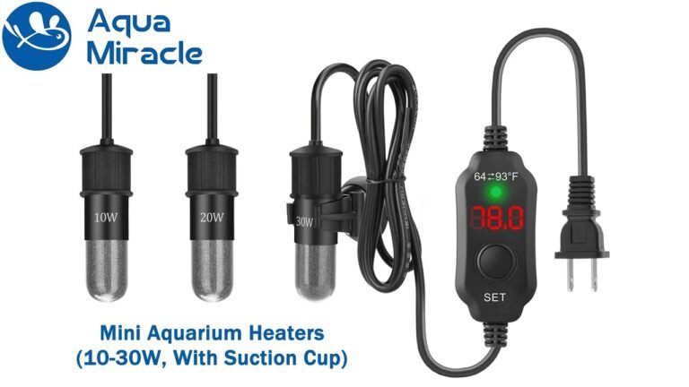 Selecting Aquarium Heaters for Bottom-Dwelling Fish